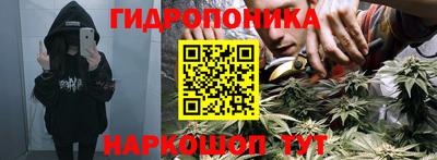винт Дубна