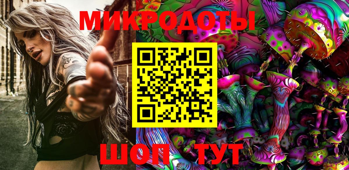 Галлюциногенные грибы Psilocybe Ленинск-Кузнецкий